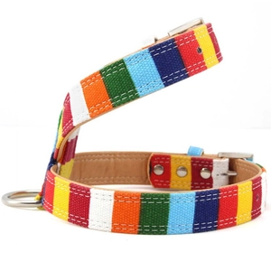 Rainbow striped canvas pet collar with durable silver metal buckle on a white background