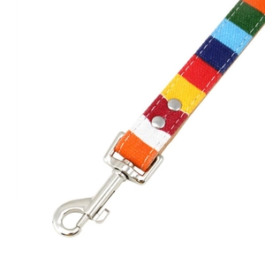 Detail of colorful rainbow striped canvas leash with silver metal buckle and rivets