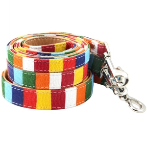 Detailed view of rainbow striped canvas pet leash with durable metal hook clasp