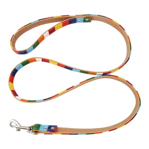 Rainbow striped pet leash with canvas texture, durable leather lining and metal swivel hook