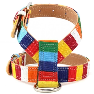 Detailed view of colorful striped canvas pet harness with durable metal D-ring fasteners