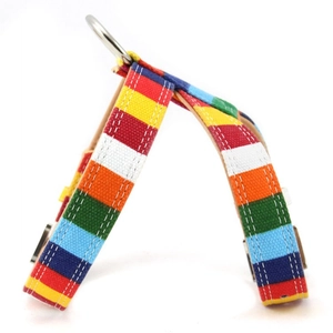 Close-up of rainbow striped canvas pet harness with durable metal D-ring attachment