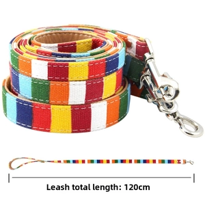 Detail of 120cm colorful striped canvas pet leash with durable silver metal clasp