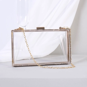 Transparent acrylic crossbody box bag with gold metal frame and detachable chain strap