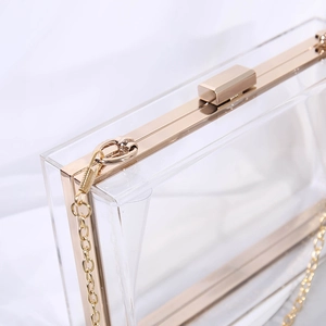 Transparent acrylic crossbody box bag with gold metal frame and fine chain strap