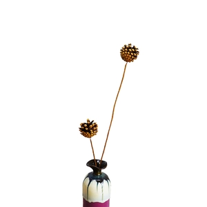 Zen style natural pine cone branches in a colorful glazed ceramic vase for home decor