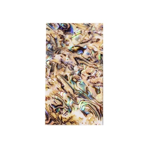 Natural 3D abalone shell nail sticker with iridescent rainbow texture and pearl luster