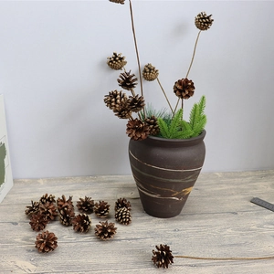 Natural dried pine cones with long stems in a ceramic vase for zen home flower arrangements