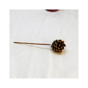 Natural dried pine cone on wire stem for Zen style home floral arrangements and decor