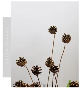 Detailed view of dried natural pine cones on long stems for Zen floral decoration