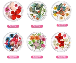 Macro detail of mixed dried flowers set in transparent boxes for nail art decoration