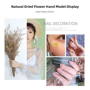 Detail of natural dried flowers for nail art in mixed colors on a manicured hand