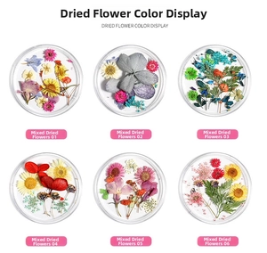 Detailed view of six circular containers with mixed natural dried flowers for nail art DIY