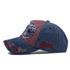 Retro washed cotton baseball cap with 3D shark embroidery and side anchor detail