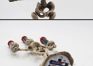 Detail of Halloween skull candle holder with battery compartment and realistic bone texture