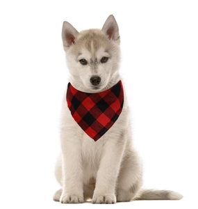 Detail of red and black buffalo plaid pet bandana shown on a husky puppy model