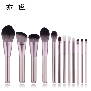 Macro view of 12 professional makeup brushes with soft fiber bristles and champagne handles