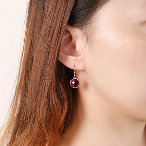 Fashionable titanium steel earrings featuring red round gemstones with silver hooks