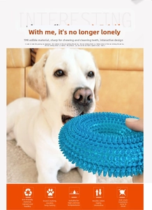 Blue spiky TPR dog toy for teeth cleaning and sound interaction shown with Labrador
