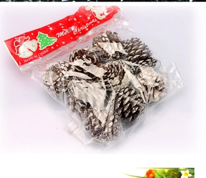 Close-up of natural pine cones with white snow effect in festive plastic packaging