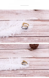 Detail of snake rings in gold and silver showing intricate scale texture on white feather