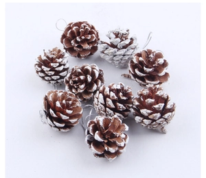 Macro shot of natural pine cones with white snow coating and rustic hanging strings
