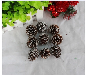 Detail view of nine natural pine cones with white snow effect for Christmas tree decor