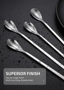 Polished long-handle stainless steel dessert spoons set with high gloss finish