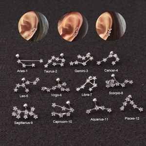 Set of 12 silver stainless steel zodiac stud earrings with sparkling cubic zirconia crystals