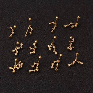 Set of 12 gold zodiac sign stainless steel stud earrings on a textured black background