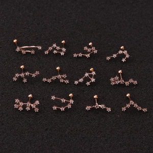 Rose gold zodiac stud earrings set with sparkling crystals on black background