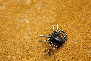 Detailed view of spider brooch pendant with black stone on dry grass background