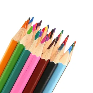 Vibrant 12-48 piece colored pencil set with pre-sharpened tips for student drawing