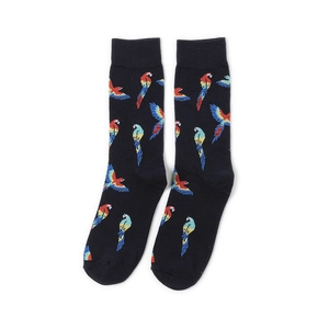 Detail of crew socks featuring colorful macaw parrot patterns on black ribbed cotton fabric