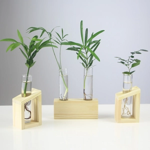 Hydroponic Vase Glass Plant Terrarium With Wooden Stand Nordic Style Clear Desktop Decor Ornament