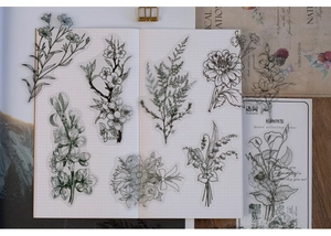 Detail of transparent PET botanical stickers with vintage black and white floral line art