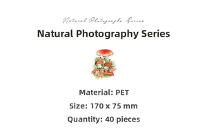 Macro detail of Natural Photographs Series PET stickers with realistic mushroom motifs