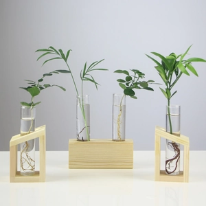 Nordic wooden stand with glass test tube vases for hydroponic plants on white background