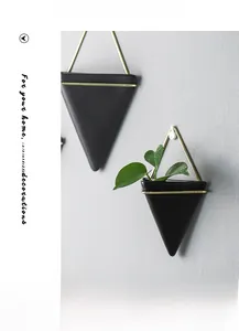 Close-up of modern black geometric wall planter with metal frame and green foliage