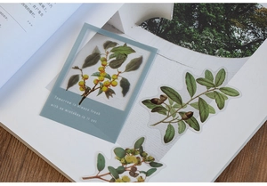 Detailed close-up of vintage PET plant stickers with botanical frames on a book page