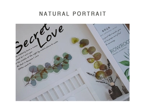 Detailed macro of transparent PET stickers showing realistic green botanical patterns