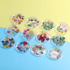Mix of dried flower nail art stickers in transparent resin cases for DIY manicure deco