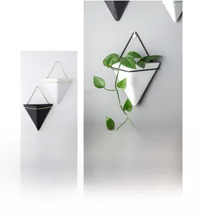 Detail of Nordic triangle geometric wall planters with matte finish and metal gold frames