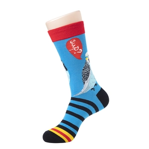 Détail de chaussette bleue mi-mollet avec motif de perruche et bord-côte rouge sur un modèle