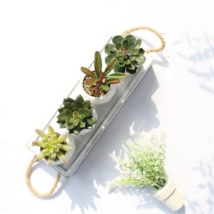 Artificial succulent plants in white pots with rectangular wooden tray and rope handle