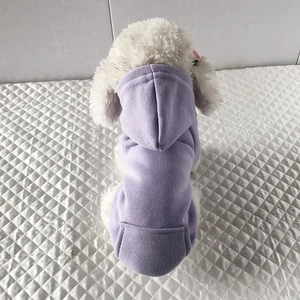 Detail of light purple pet hoodie with pocket on white bichon frise for spring autumn
