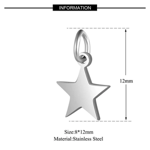 Gepolijste roestvrijstalen sterhanger met oogje 8x12mm afmetingen voor DIY sieraden