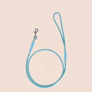 Laisse Pour Chien En Nylon Tressé Durable Avec Mousqueton En Alliage De Zinc Et Poignée TPR Souple Pour Animaux De Compagnie