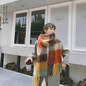 Outdoor shot of a thick rainbow plaid scarf with tassels on a model in sunlight