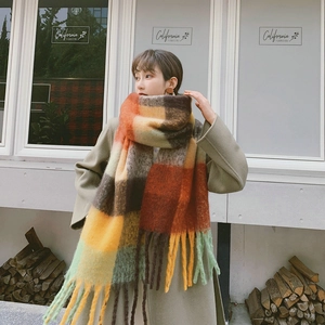 Detail showing the colorful rainbow plaid pattern and thick tassel fringe on the scarf